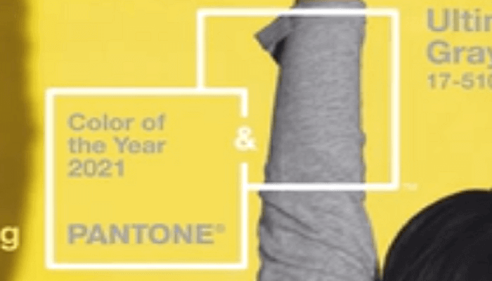 Pantone tarafından 2021 yılının renkleri